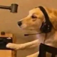 original sound - magic.music.edit