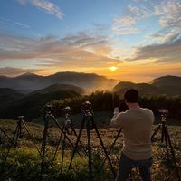 原聲 - 陳明煌SABATLFOV