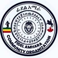 fidel.amhara