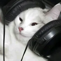 original sound - k.o0462