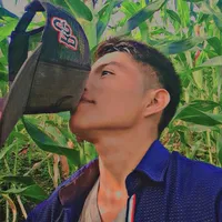 original sound - edvincitogt