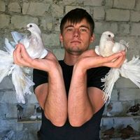 mitu.mihai