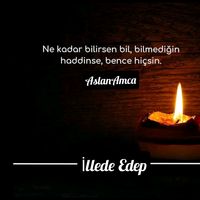 orijinal ses