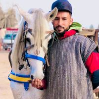 aziztamhi