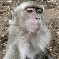 frasesreflexoes.oficial