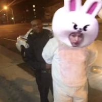 original sound - mycatminho