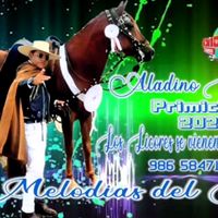 aladinovalienteheras