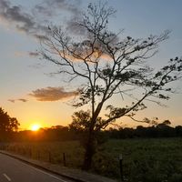 irlana_oliveira