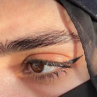 fafo_241