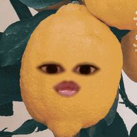 freefiremariaolivia