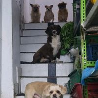 mendozamendoza078