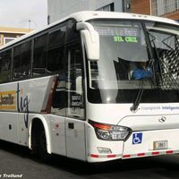 gato303030