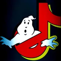 original sound - tiktokghostbuster