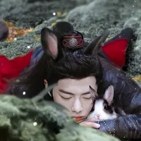 苏幕遮sumuzhe by 张晓棠