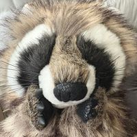 howcookiecrumbles