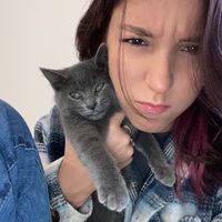 Stressed Out. Twenty one pilots. Slowed