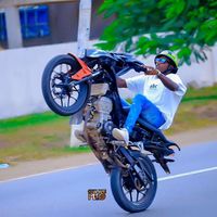 lionlemotard8