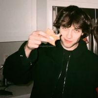 sturniolo.triplet8400