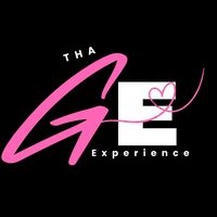 _thageminiexperience