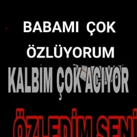 original sound - yalan.dunya040