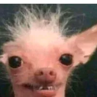 original sound - passa.tempo432