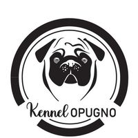 puglife_opugno