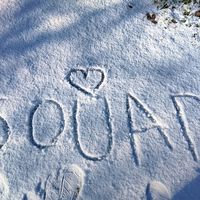 souadtouhemi