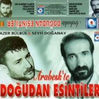 orijinal ses
