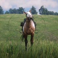 happyy_gaming