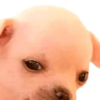 original sound - insomnio_de_risa