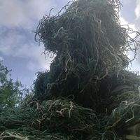 rv123090