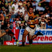 rugby_.1zone