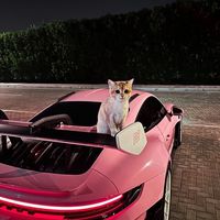 оригинальный звук