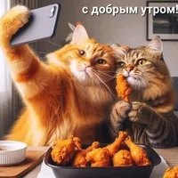 original sound - sammerkuri