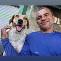 ailtonaragao368gmail.com