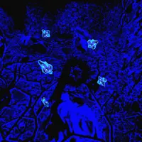 LOOK DONT TOUCH by Odetari and Cade Claire