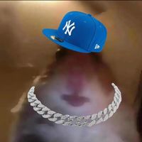 hamster_gangster_1
