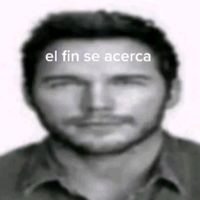 zucchinioficial