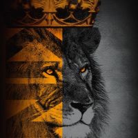 som original - metanoia459