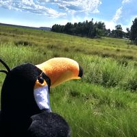 las.aventuras.de.felipe