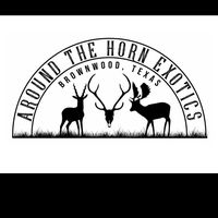 aroundthehornexotics