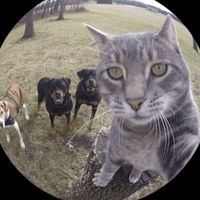 promo_2025_informatica