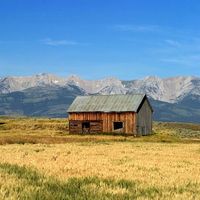 original sound - Green Grassland