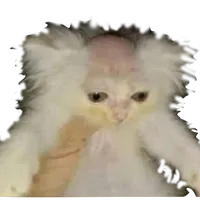 original sound - ja1bg