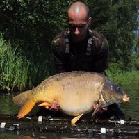 Does It Look Like I Care.. Follow 4 more TEAMWORK