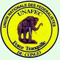 junafec_brigade_i.v.b