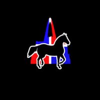 caballosdpasohigueyano