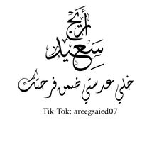 areegsaied07