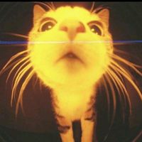 оригинальный звук