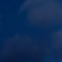 original sound - jad.flees